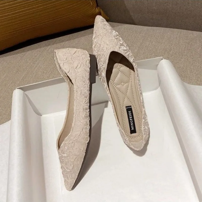 Women Shoes Quick Delivery - Women's Flat Shoes Pointed Toe Ladies