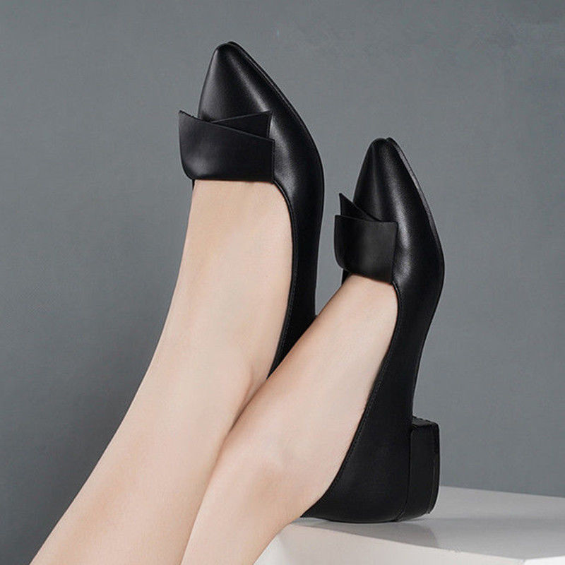 Pointed Toe Low Heel Elegant L - đánh giá và giá Women Shoes Quick Delivery