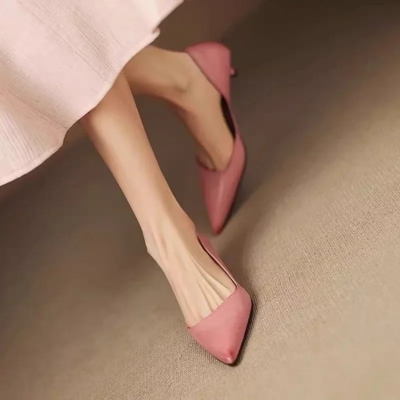 Women's Pointed Toe Stiletto H - đánh giá và giá Women Shoes With Heels