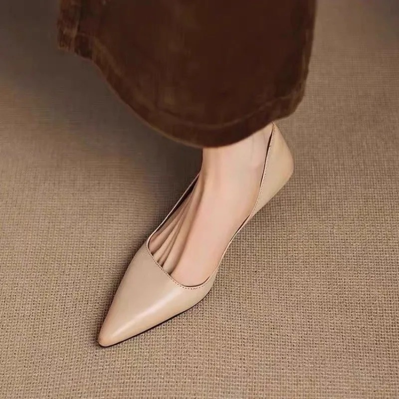 Women's Pointed Toe Stiletto H - đánh giá và giá Women Shoes With Heels