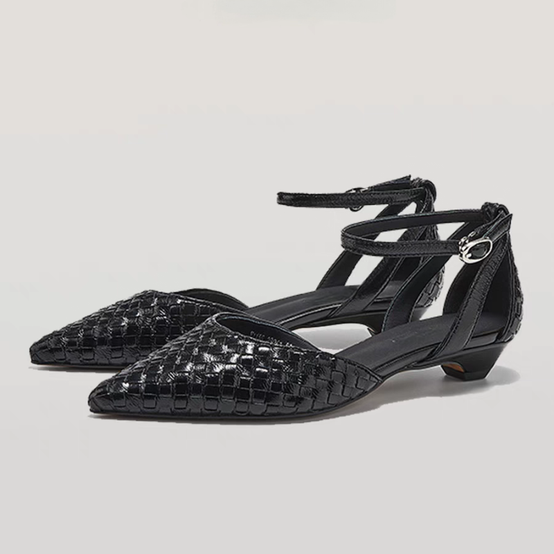 Pointed Toe Low Heels Women El - đánh giá và giá Women Shoes Brands